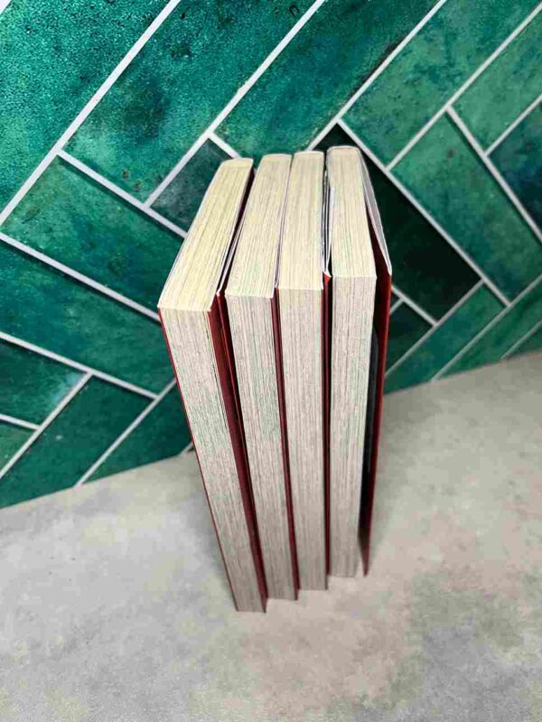 Fairy Tail - City Hero  - Collection complète  : 4 Tomes