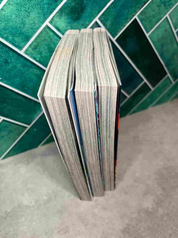 Fire Punch   :  Tome 1 a 3