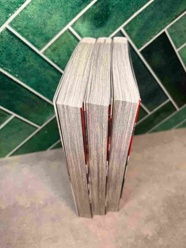 Reign Of the Seven Spellblades  : Tomes 1 a 3