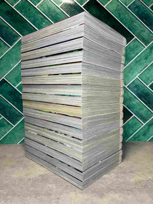 Silver Wolf  :  Collection Complète -  16 Tomes