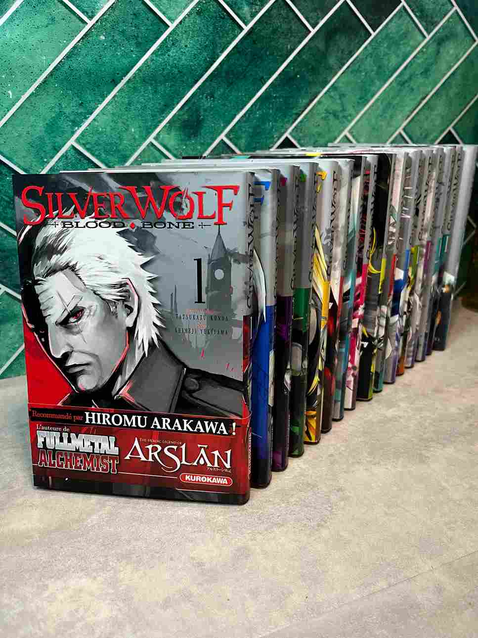 « Hans Vahpet, dit « Silver Wolf » est un célèbre chasseur de vampires ayant contribué à leur éradication. Il est tiré de sa paisible retraite pour