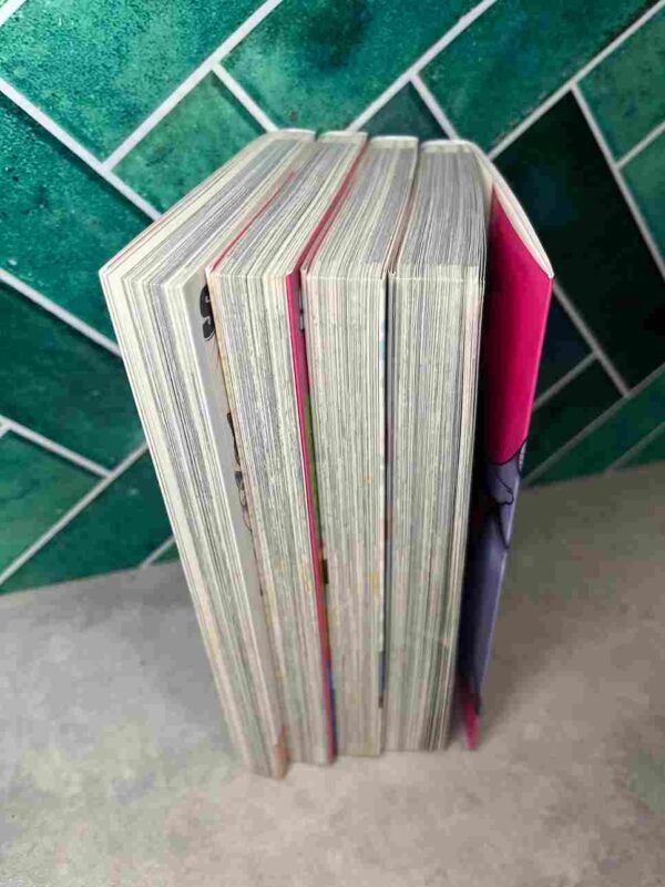 Street Fighting Cat : collection complète - 4 tomes