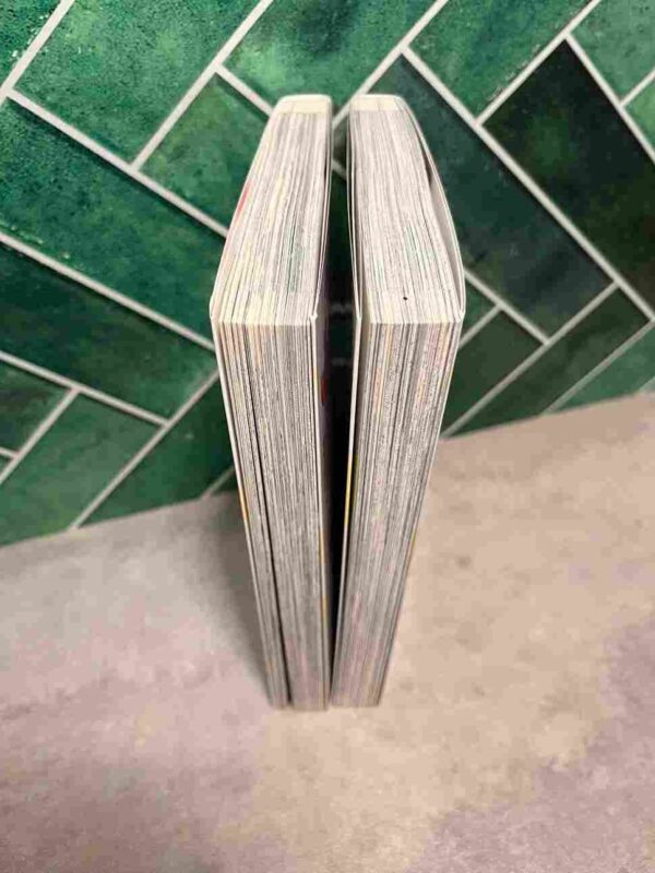 Second Summer - Never See You Again - Collection Complète : 2 Tomes