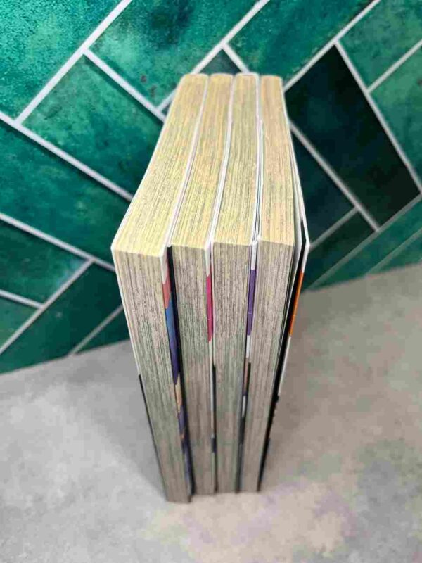 Private Teacher - Yaoi : Collection complète - 4 tomes