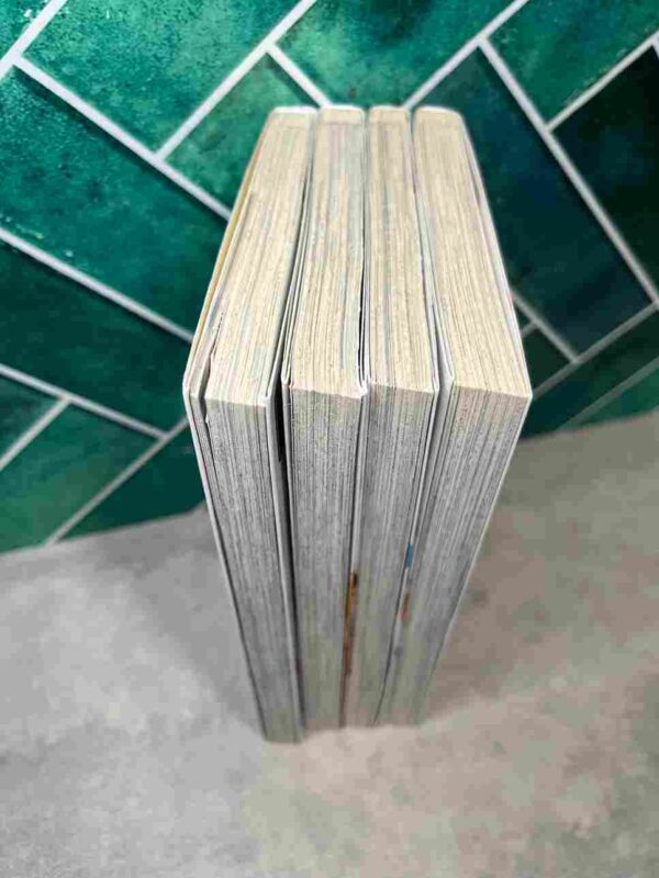 Heroine Malgré Moi : Collection complète - 4 tomes