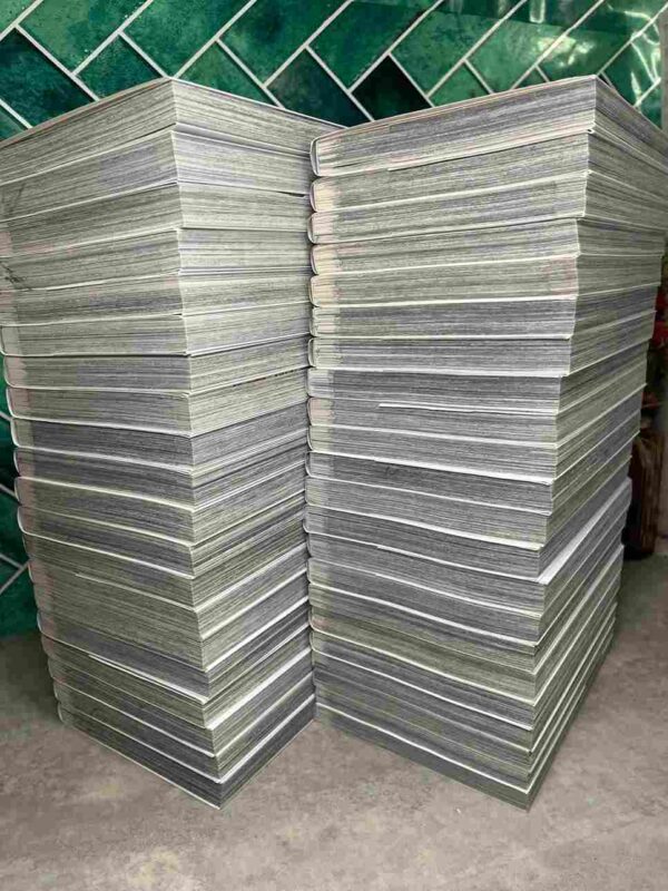 Berserk  : Collection complète -  42 tomes  ( Neuf )