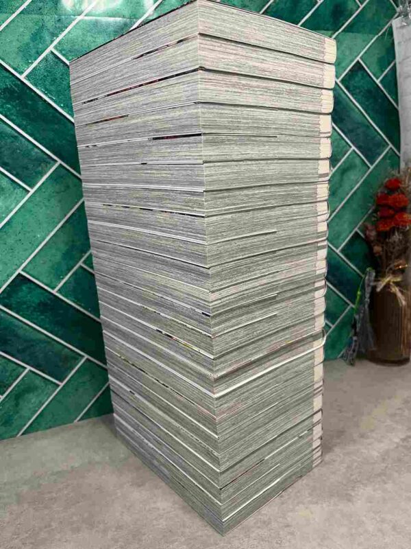 Valkyrie Apocalypse : Collection Complète - 23 Tomes ( Neuf )