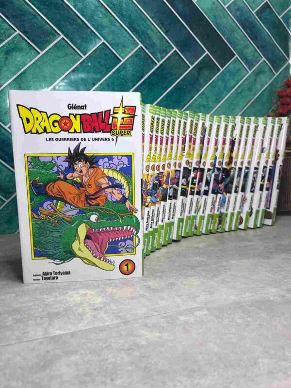 Les mois ont passé depuis le terrible affrontement entre Goku et Majin Boo... Mais après une période de paix, une nouvelle menace s'abat encore sur la Terre