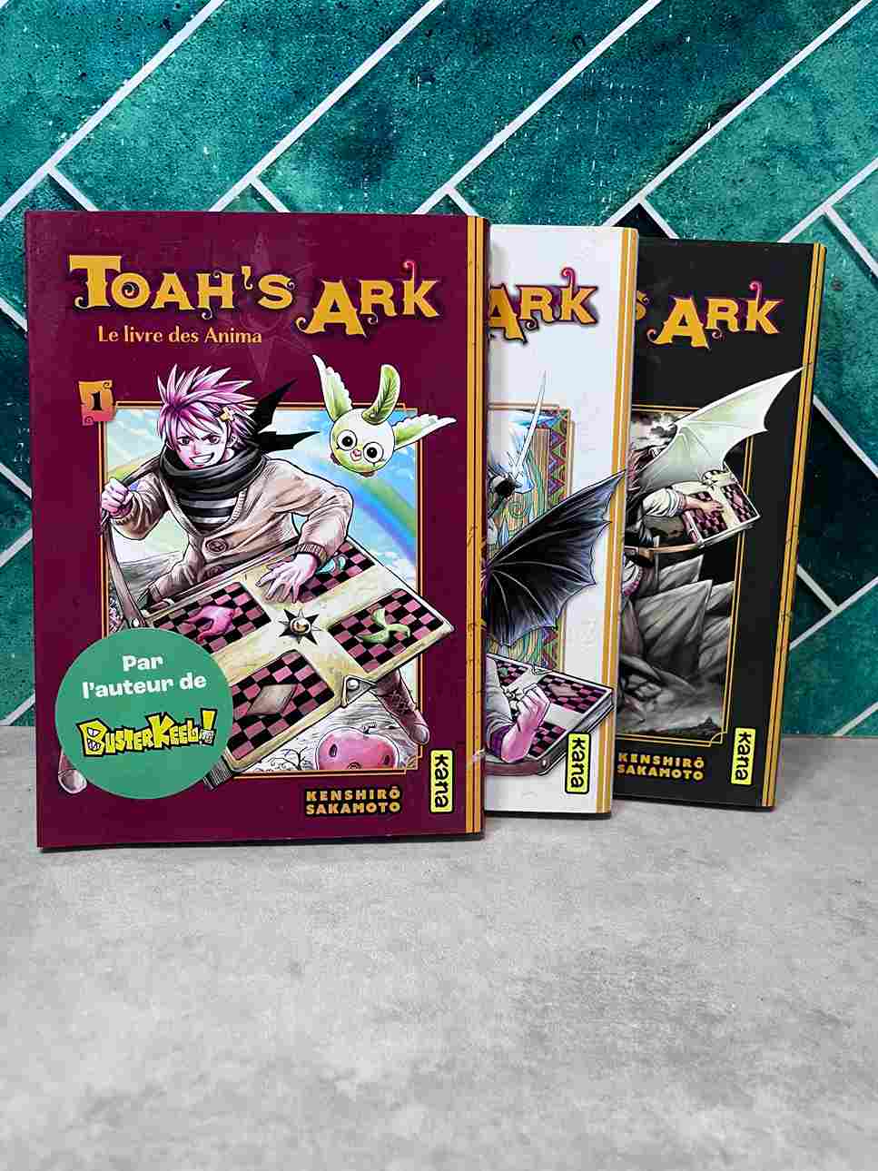 L’Arche de Noé s’avérait être un grimoire devant sceller les âmes perdues qui répandent le Mal : les Anima. Tombée sous leur emprise, Pandora les libéra du