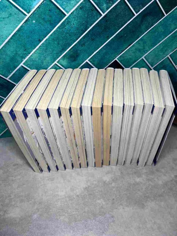 Seven Deadly Sins  :  Tomes 1 a 16