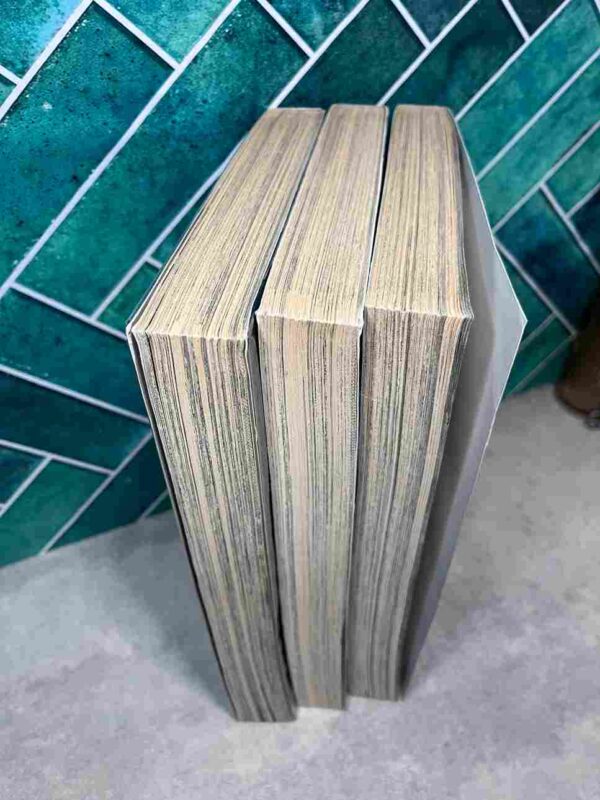 Gunnm : Grand Format - Tomes 1 a 3