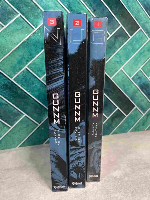 Gunnm : Grand Format - Tomes 1 a 3