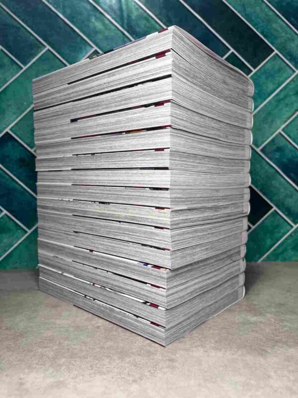 Goblin Slayer  : Collection Complète - 15 Tomes  ( Neuf )