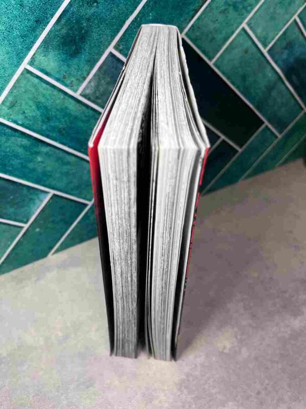 Rage : Tomes 1 ( De Karel Barreau )