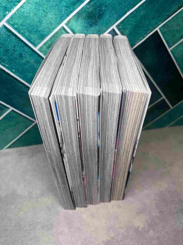 Level Up Disaster - Divine Power  : Collection complète - 5 tomes