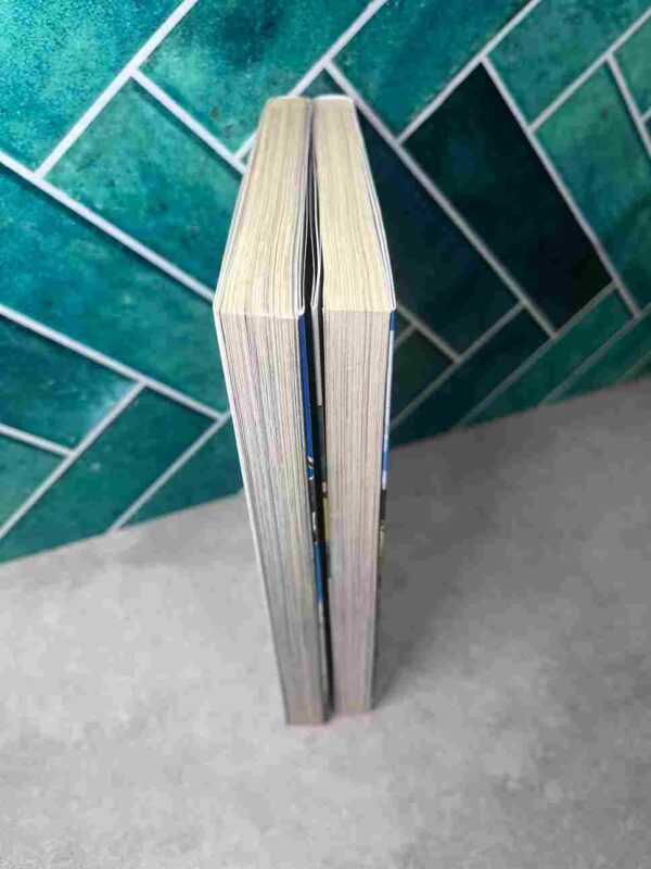 Le Garçon Et la Bête  :  Tomes 1 et 2