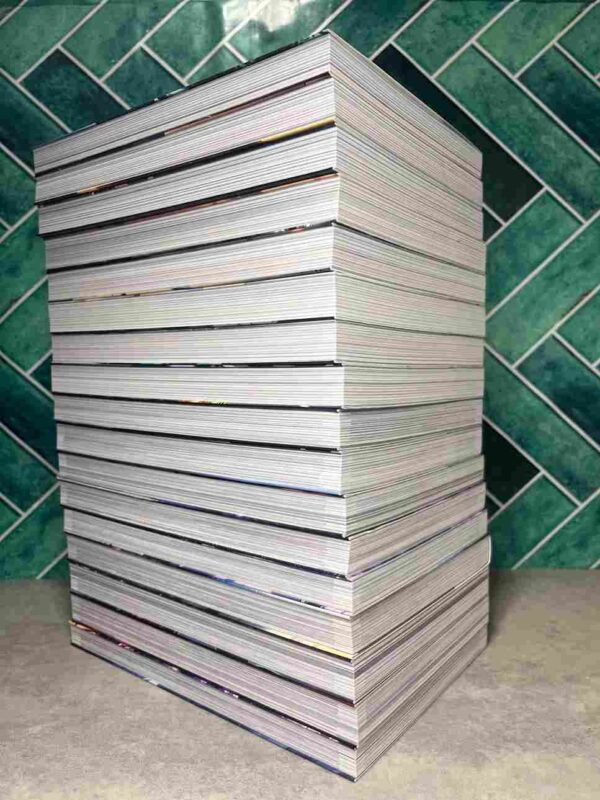 Solo Leveling : Collection Complète - 17 Tomes ( tome 14 jaquette alternatif )