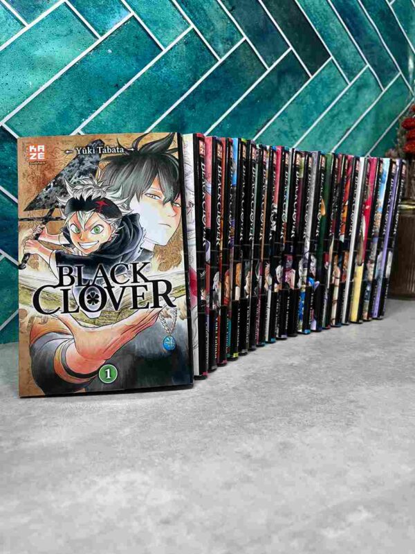 Yuno et Asta sont deux jeunes héros ayant le même rêve : celui de devenir le prochain Empereur Mage du royaume de Clover, grâce à la puissance de la magie.