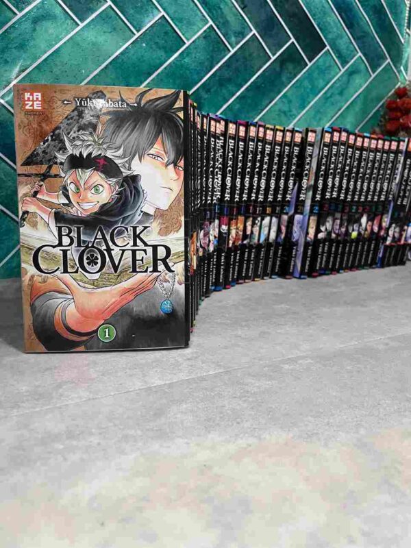 Yuno et Asta sont deux jeunes héros ayant le même rêve : celui de devenir le prochain Empereur Mage du royaume de Clover, grâce à la puissance de la magie.