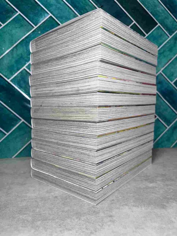 Bloody Delinquent Girl Chainsaw : Collection Complète - 13 Tomes  ( Neuf )