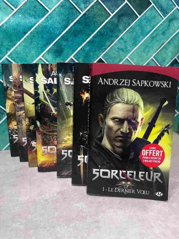 Geralt de Riv est un homme inquiétant, un mutant devenu le parfait assassin grâce à la magie et à un long entraînement. En ces temps obscurs, ogres, goules