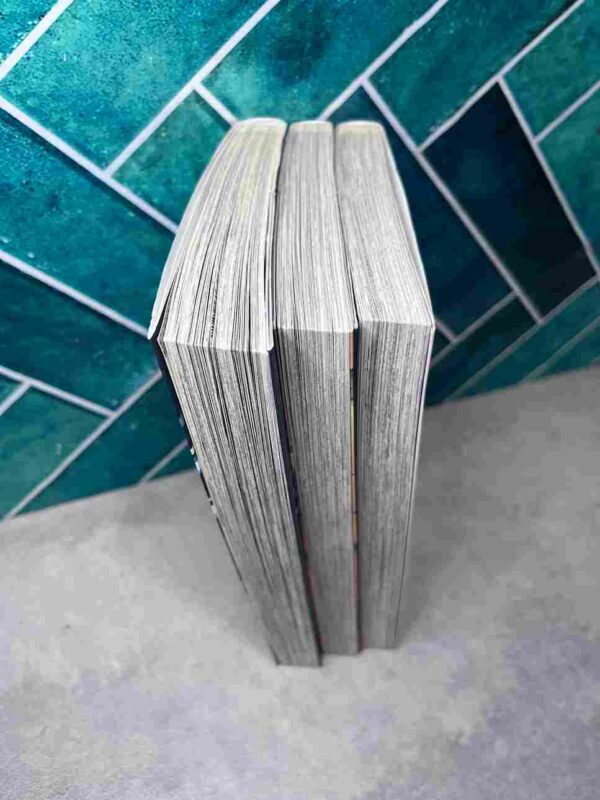 Fairy Tail - Side Stories : Collection Complète - 3 Tomes