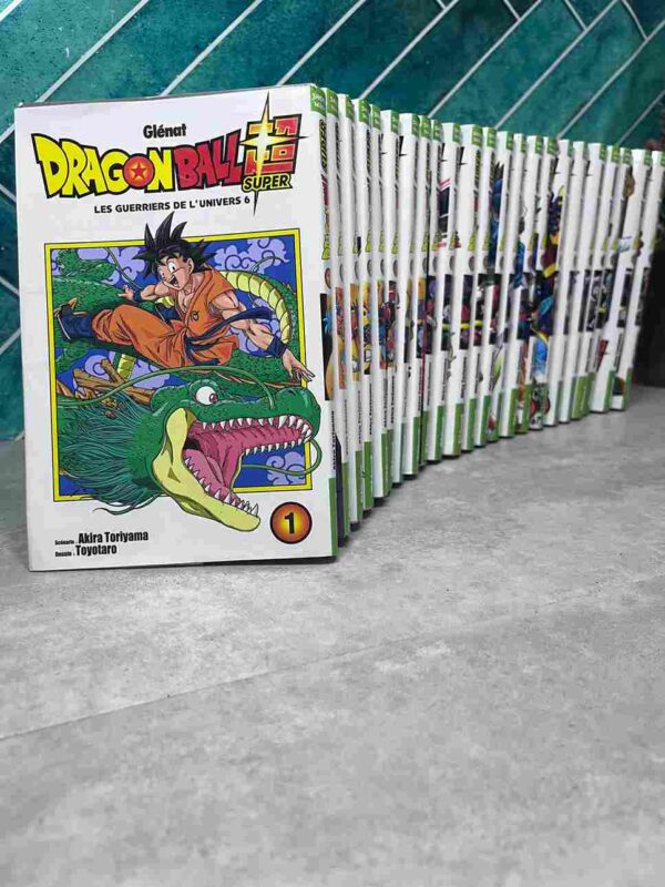 Les mois ont passé depuis le terrible affrontement entre Goku et Majin Boo... Mais après une période de paix, une nouvelle menace s'abat encore sur la Terre