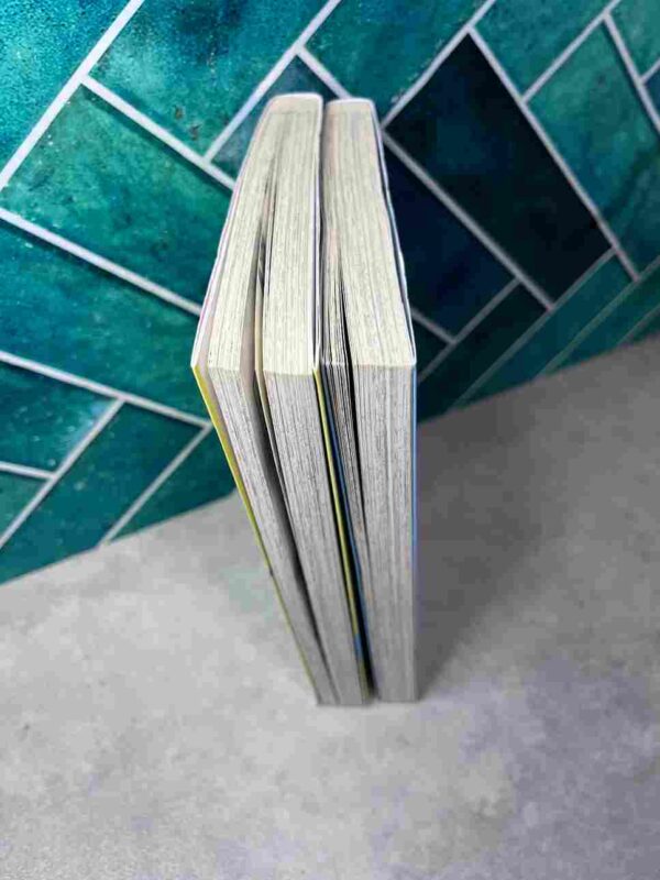 Fairy Tail S - Short Stories  :  Tomes 1 et 2