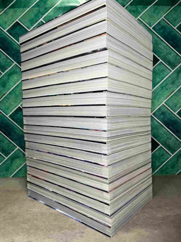 Solo Leveling  :  Collection Complète  - 19 Tomes ( comme neuf )