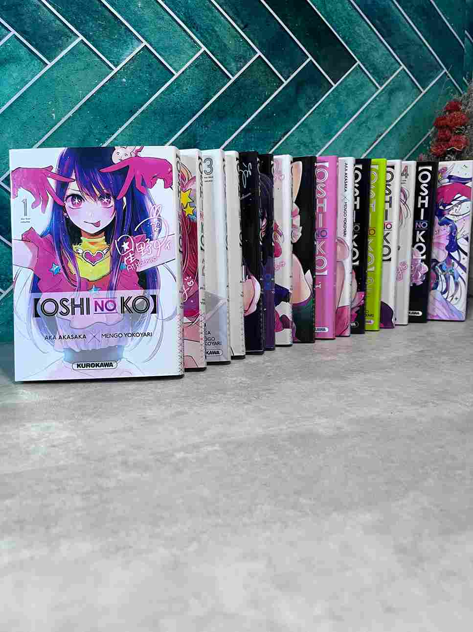 Le docteur Gorô est obstétricien dans un hôpital de campagne. Il est loin du monde de paillettes dans lequel évolue Ai Hoshino, une chanteuse au succès