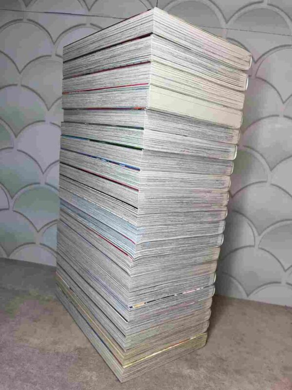 Black Cat  :  Collection Complète  - 20 Tomes