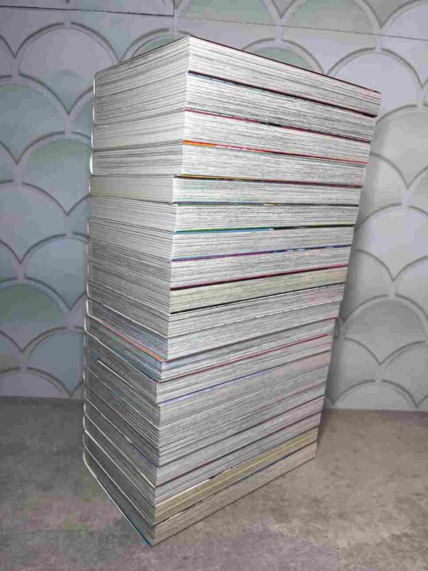 Black Cat  :  Collection Complète  - 20 Tomes