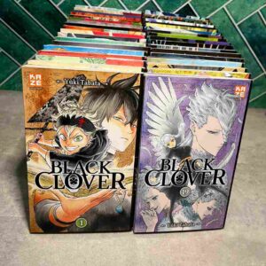 Yuno et Asta sont deux jeunes héros ayant le même rêve : celui de devenir le prochain Empereur Mage du royaume de Clover, grâce à la puissance de la magie.