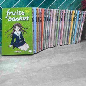 Tohru, mignonne et courageuse lycéenne, vivait sous une tente dans les bois. Recueillie pour ses talents en matière de travaux ménagers par la famille de