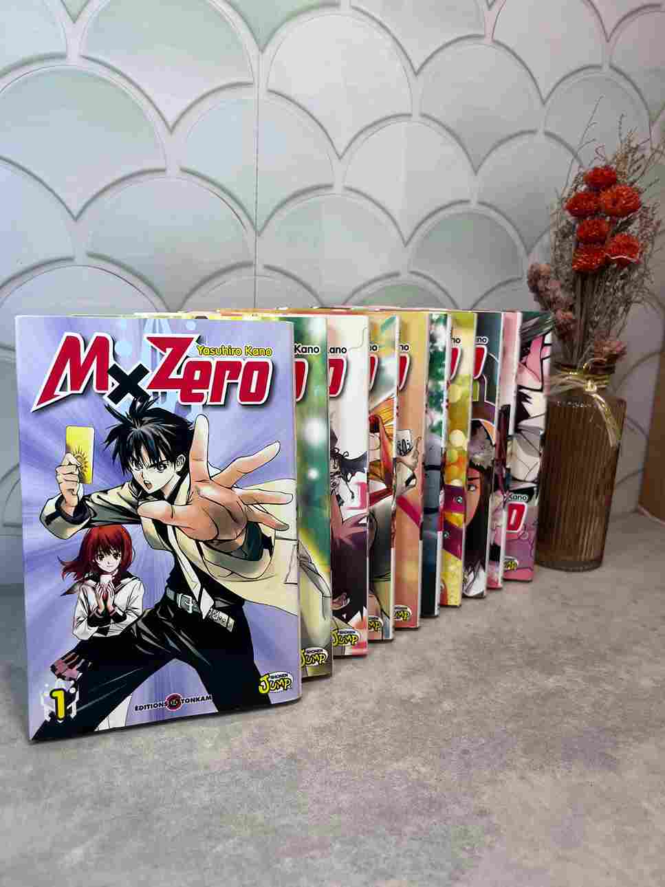 Taiga Kuzumi, garçon ordinaire, a raté son examen d'entrée au lycée privé Seinagi. Selon lui, la faute en revient à une fille, qu'il veut revoir et se