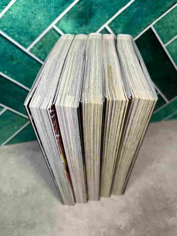 Saint Seiya - Dark Wing   : Tomes 1 a 5