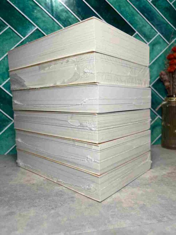 Le Vagabond de Toyko  : Collection Complète  - 6 Gros  Tomes