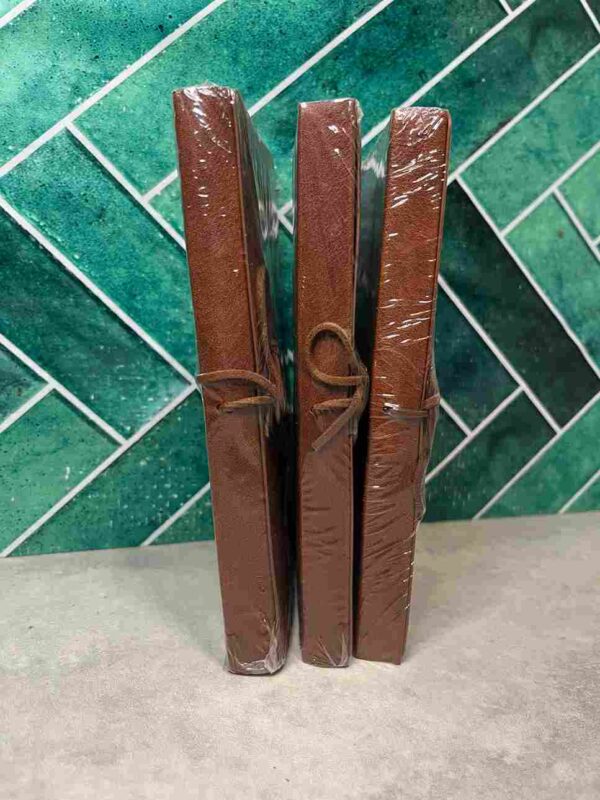 One Piece  :  Tomes collector -  :  98   99  et 100  ( Neuf )