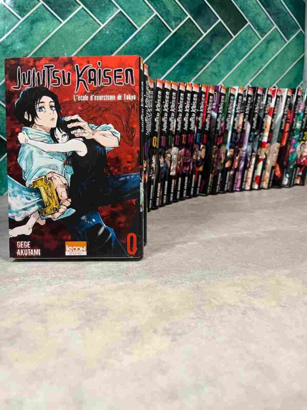 Chaque année au Japon, on recense plus de 10 000 morts inexpliquées et portés disparus.Dans la majorité des cas, ce sont les sentiments négatifs des êtres