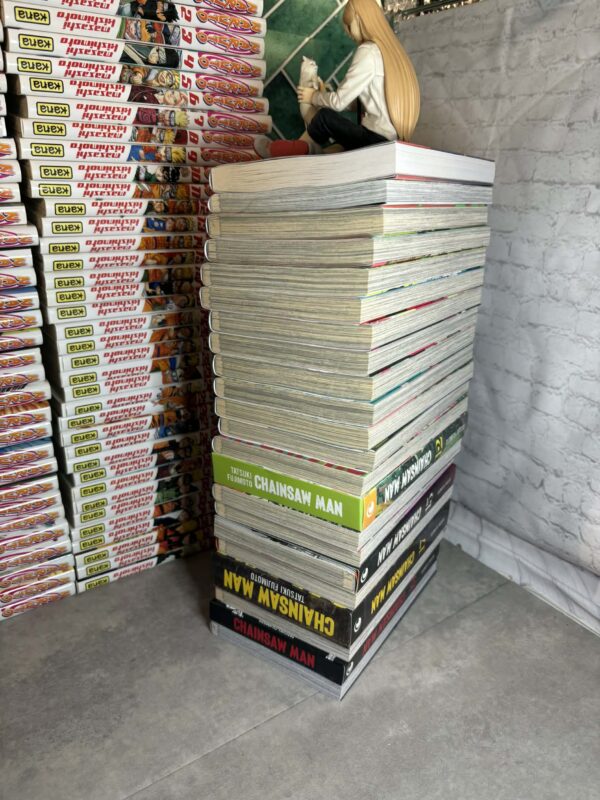 Chainsaw Man : Collection Complète - 22 Tomes (collector 12 15 16 17 18 et 19 ) + 2 hors series