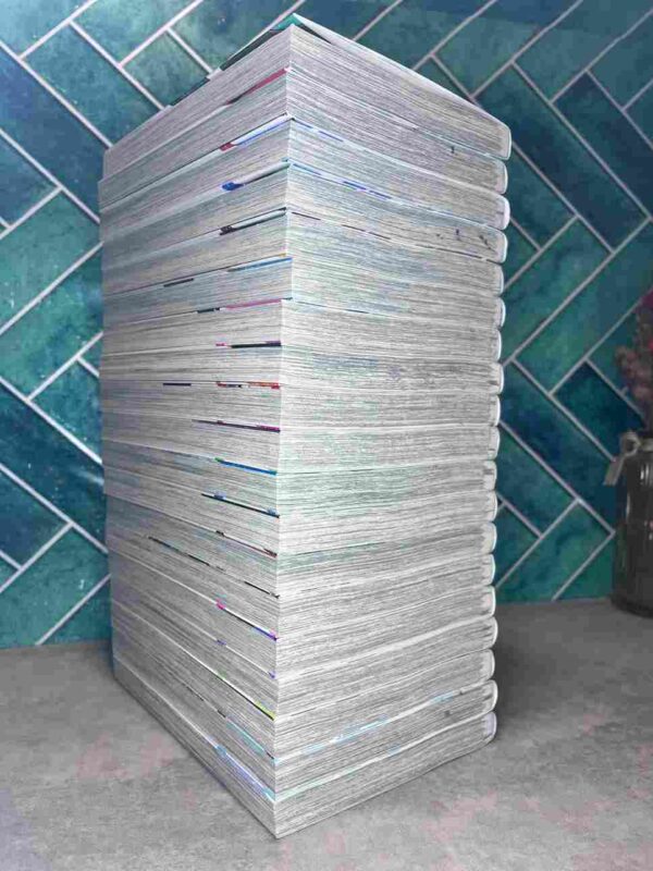 Wind Breaker  : Collection Complète  - 19 Tomes