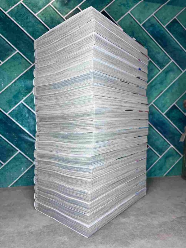 Wind Breaker  : Collection Complète  - 19 Tomes