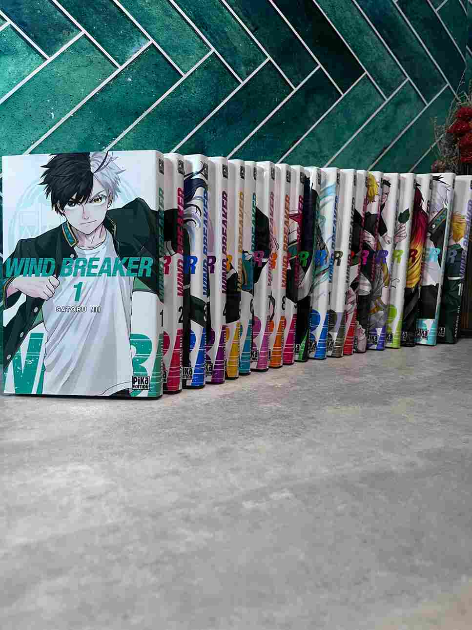 Haruka Sakura est le genre de lycéen qui fait passer la baston avant les révisions. Fraîchement débarqué en ville, c'est donc le sourire aux lèvres qu'il