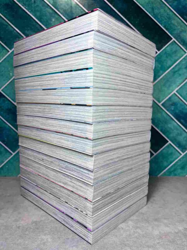 Mirai Nikki : Collection Complète - 12 Tomes + 2 Hors series