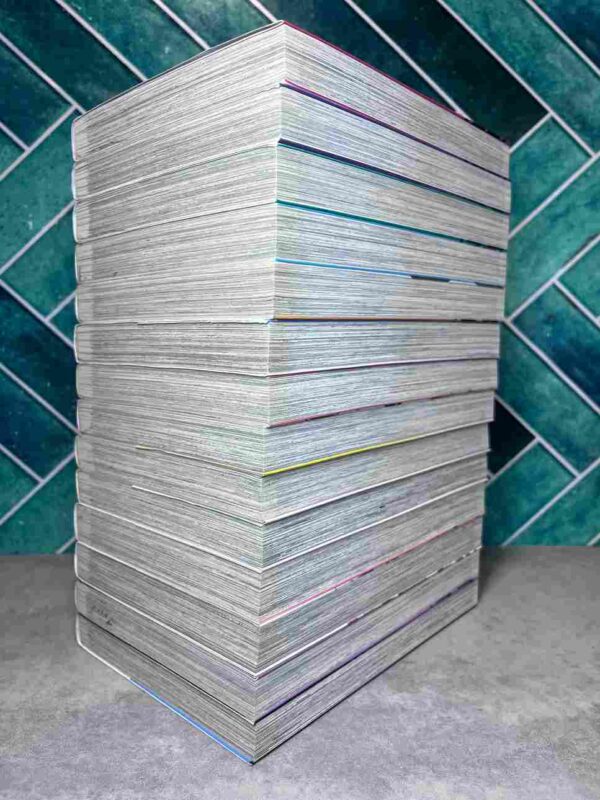 Mirai Nikki : Collection Complète - 12 Tomes + 2 Hors series