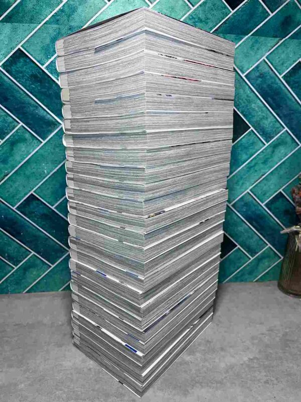 Valkyrie Apocalypse :  Collection Complète - 25 Tomes ( 18 collector )