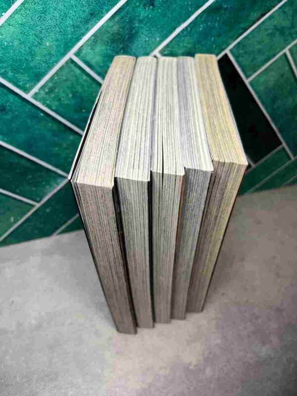 Le Chant Des Morts  -  Collection Complète  :  5 tomes