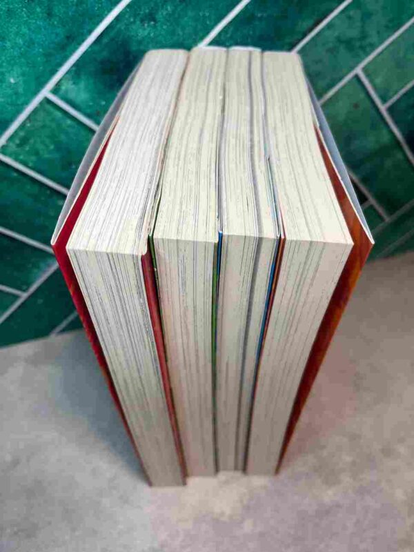 Mlle Oishi , 28 ans , Célibataire  - Collection Complète  : 4 Grand Tomes