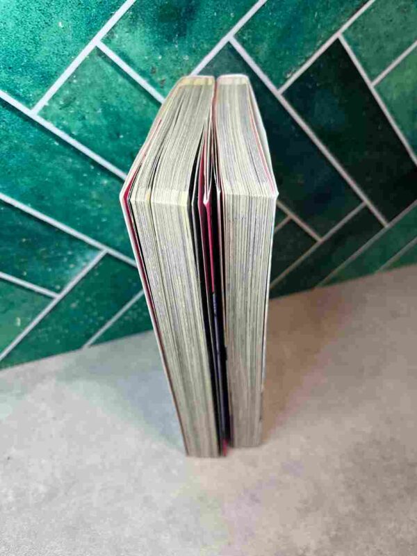 Street Fighting Cat  : Tomes 1 et 2