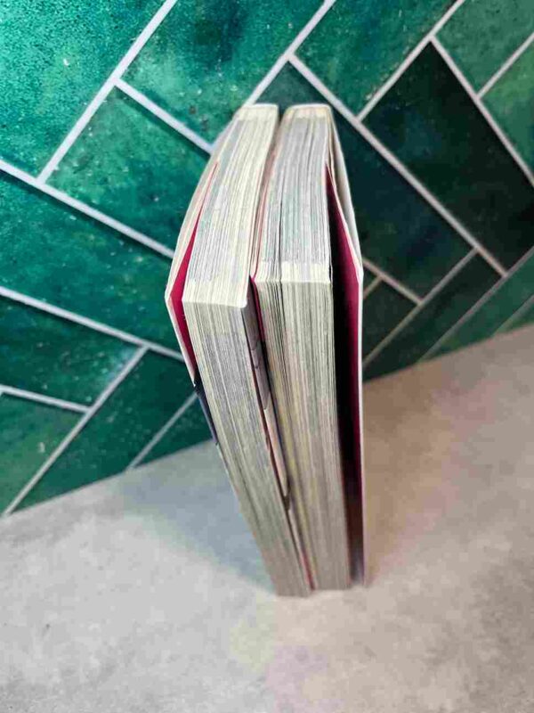 Street Fighting Cat  : Tomes 1 et 2